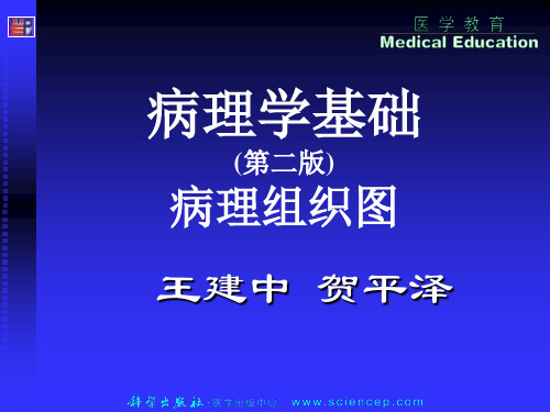 病理学基础病理组织图谱