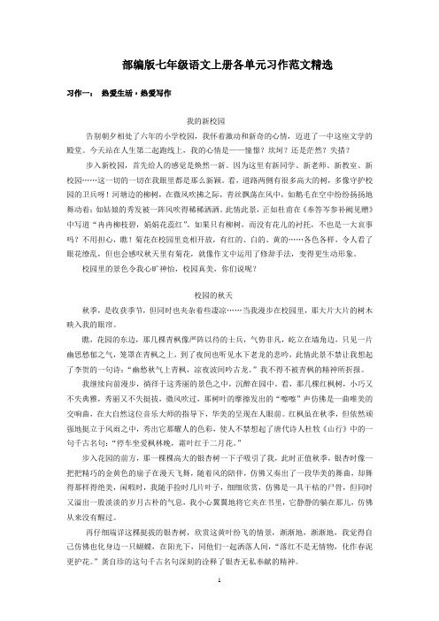 部编版七年级语文上册复习各单元习作范文精选(15篇)