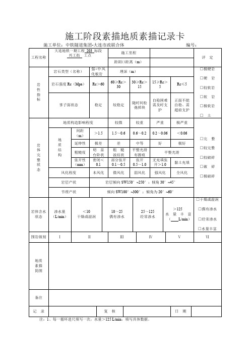 2段地质素描记录卡-25页文档资料