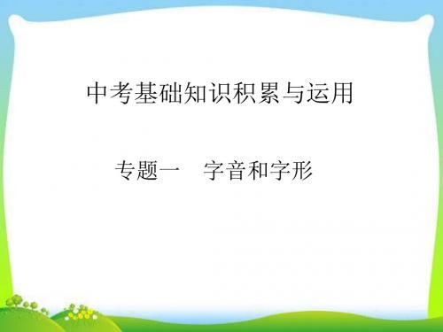 中考语文总复习之中考基础知识积累与运用+语文表达与交流