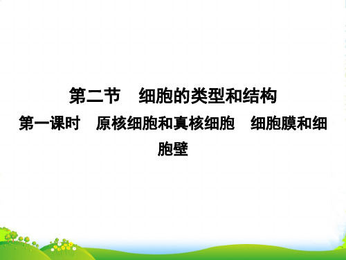 高中生物苏教版必修1课件：3.2.1 原核细胞和真核细胞 细胞膜和细胞壁