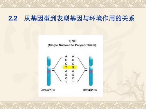 遗传学的三大定律