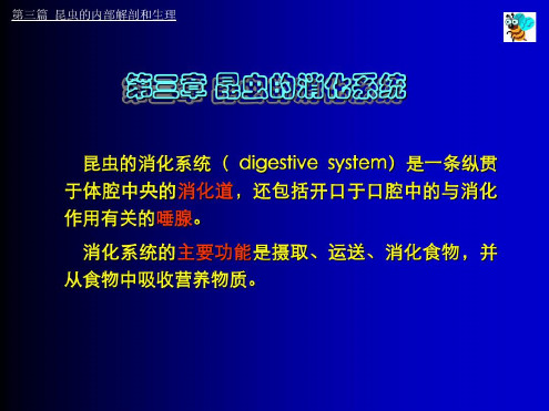 第三章昆虫的消化系统及其生理-2022年学习资料