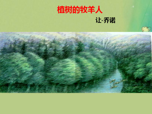 人教部编版语文七年级上册13课《植树的牧羊人》课件(共23张PPT)