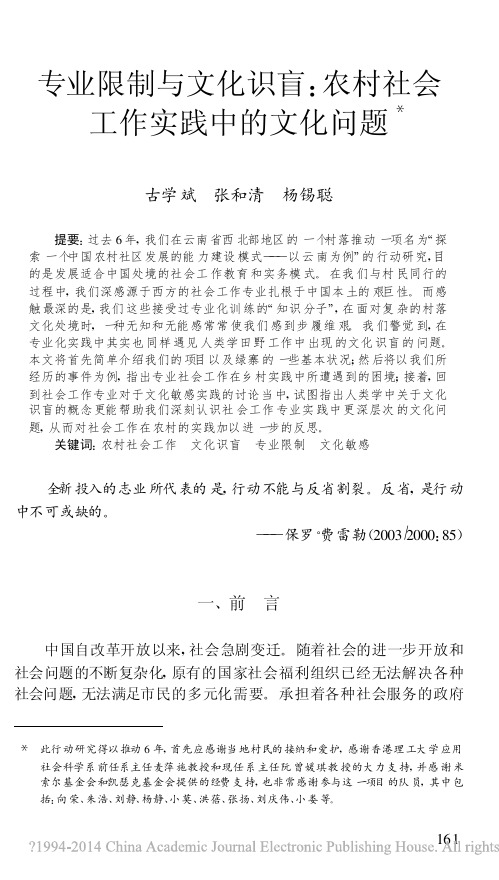 专业限制与文化识盲:农村社会工作实践中的文化问题