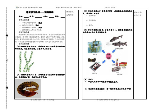 第三章 第三节 藻类植物 学习提纲