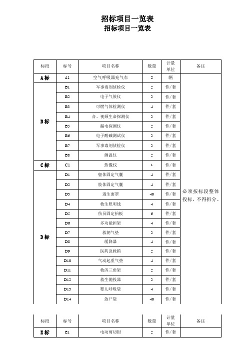 招标项目一览表