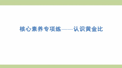 苏教版六年级上册数学 核心专项练习——认识黄金比 知识点梳理重点题型练习课件