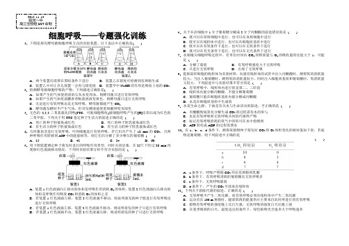 “细胞呼吸”强化训练习题