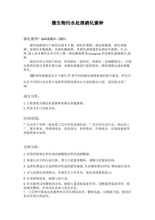 污水处理微生物硝化菌种