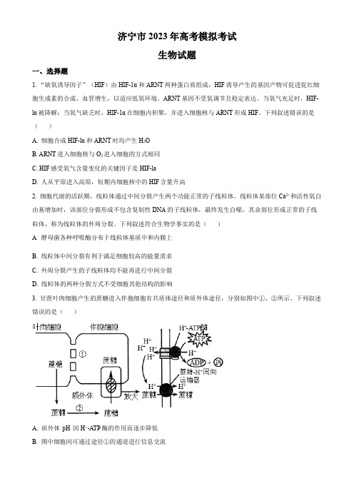 2023届山东省济宁市高三一模生物试题(原卷版)