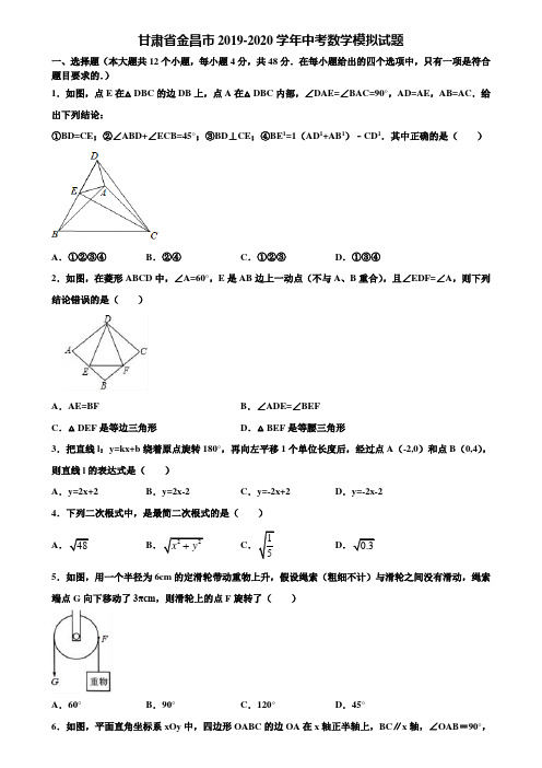 甘肃省金昌市2019-2020学年中考数学模拟试题含解析