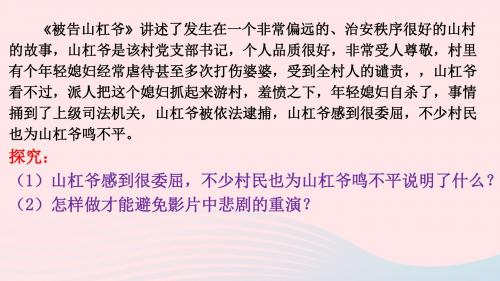 九年级道德与法治下册践行发展战略第11课建设法治国家第1框《道德与法律》课件苏教版