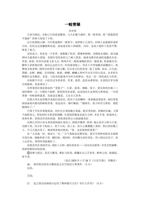 一畦青绿(2023年辽宁营口中考语文试卷散文阅读题及答案)