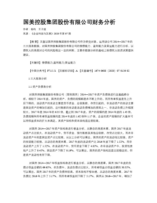 国美控股集团股份有限公司财务分析