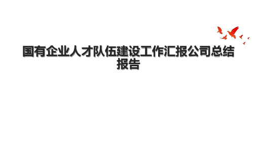 国有企业人才队伍建设工作汇报公司总结报告