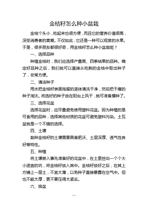 金桔籽怎么种小盆栽