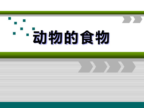 《动物的食物》动物的生活 PPT实用课件