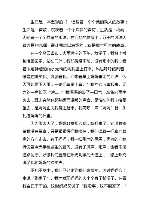 我与母亲的故事八年级作文