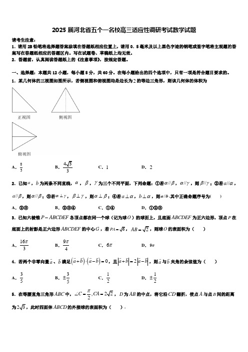 2025届河北省五个一名校高三适应性调研考试数学试题含解析