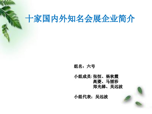 十家国内外知名会展企业简介.六号小组