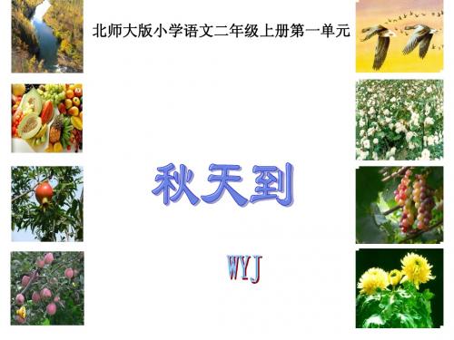 秋天到