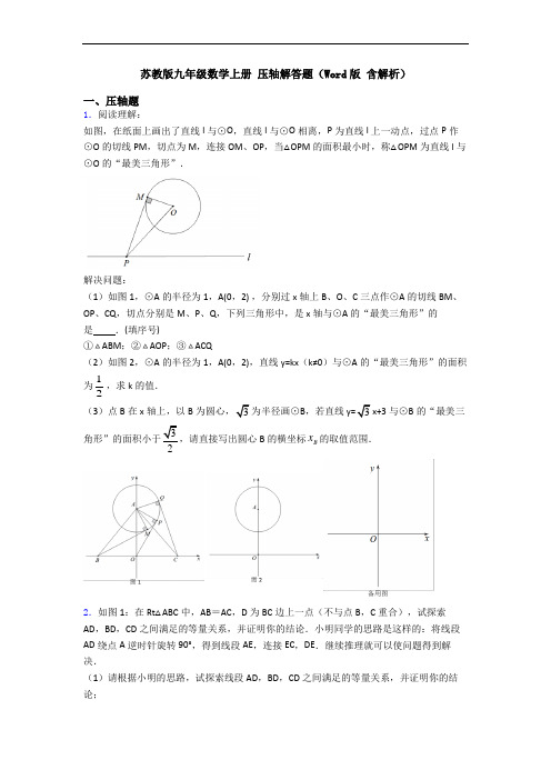 苏教版九年级数学上册 压轴解答题(Word版 含解析)