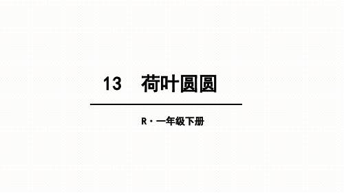 2017部编版-一年级(下册)-13--荷叶圆圆