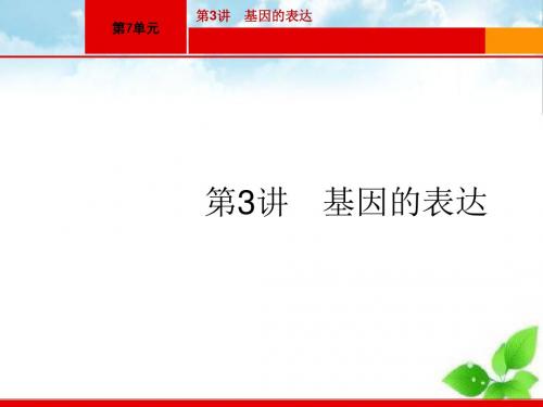 高三生物一轮复习第7单元：遗传的分子基础ppt课件(自制) 2(1)