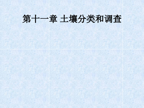 11第十一章土壤调查与分类