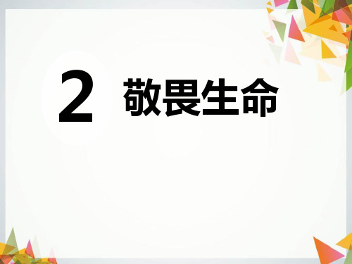 七年级道德与法治上册 (敬畏生命)教育教学课件