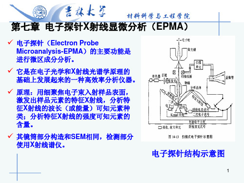 电子探针X射线显微分析(EPMA)