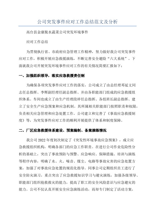 公司突发事件应对工作总结范文及分析