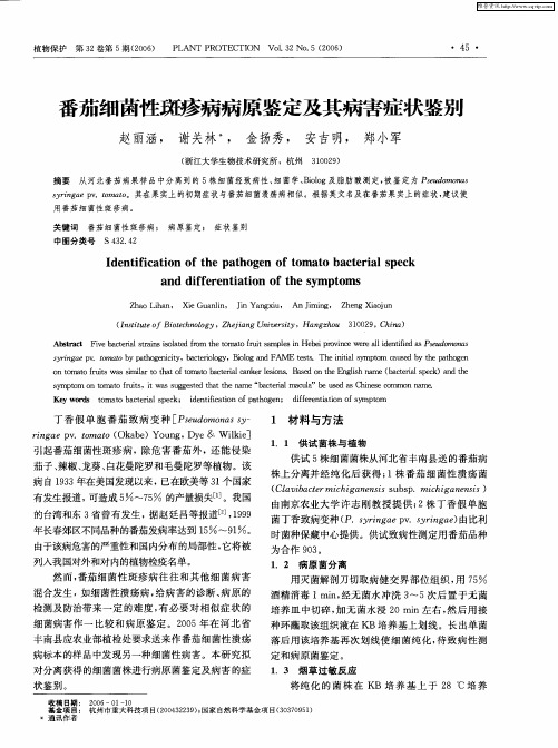 番茄细菌性斑疹病病原鉴定及其病害症状鉴别