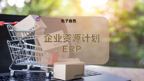 企业资源计划ERP