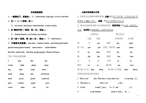 单复数及人称代词