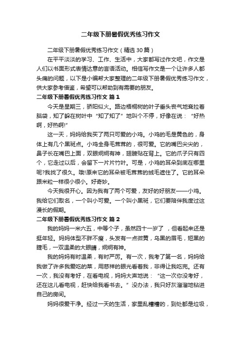 二年级下册暑假优秀练习作文（精选30篇）