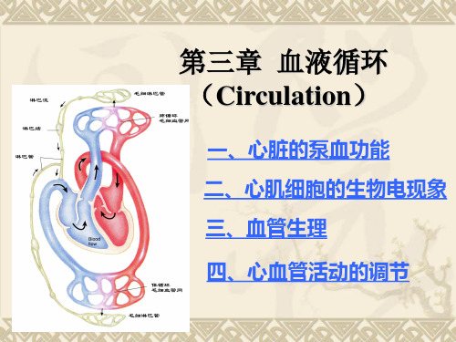 心血管活动的调节.22ppt