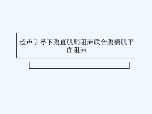 超声引导下腹直肌鞘阻滞联合腹横肌平面阻滞 PPT