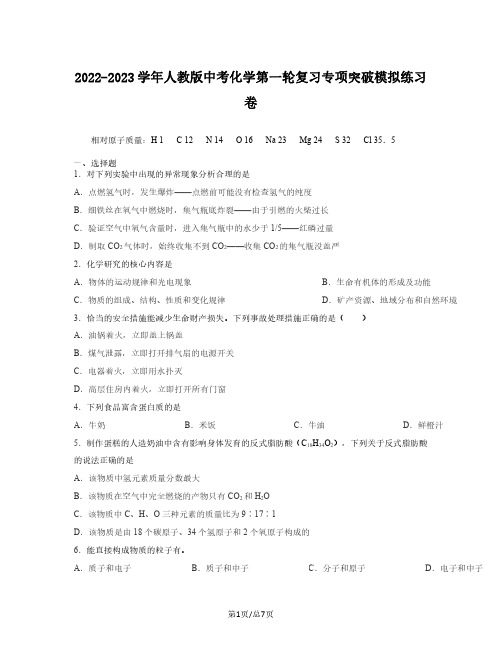 2022-2023学年人教版中考化学第一轮复习专项突破模拟练习卷