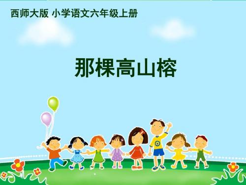 西师大版六上语文《那棵高山榕》