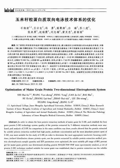 玉米籽粒蛋白质双向电泳技术体系的优化