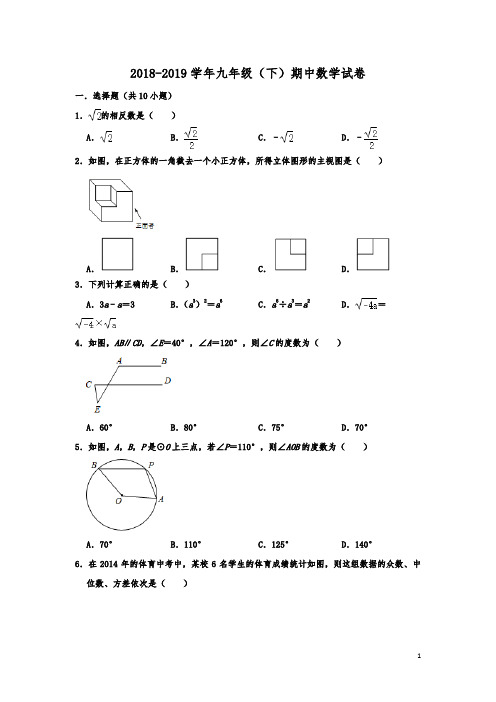 福建省龙岩市永定二中、三中联考2018-2019学年九年级(下)期中数学试卷(解析版)