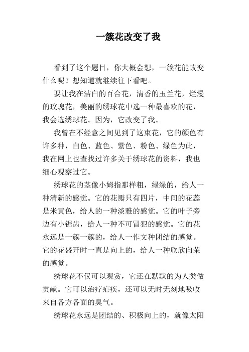 一簇花改变了我