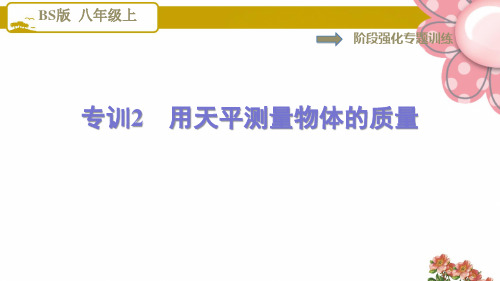 阶段强化专题训练    专训2    用天平测量物体的质量