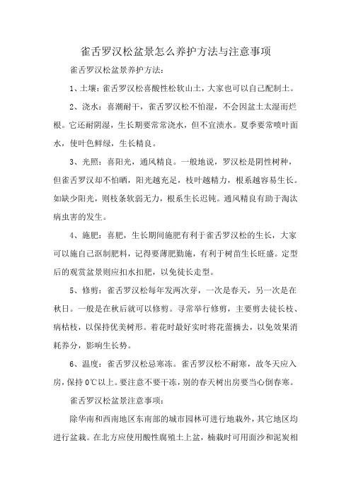 雀舌罗汉松盆景怎么养护方法与注意事项