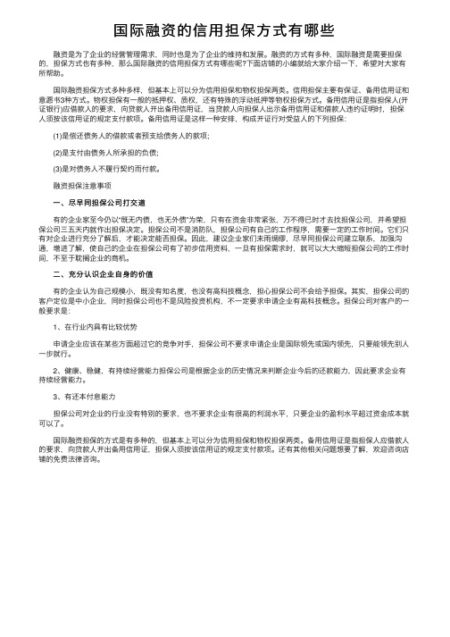 国际融资的信用担保方式有哪些