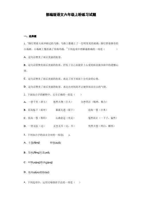 17 盼  练习试题(含答案)