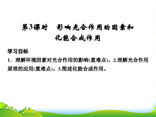 高中生物人教版必修一课件：5.4.3 影响光合作用的因素和化能合成作用