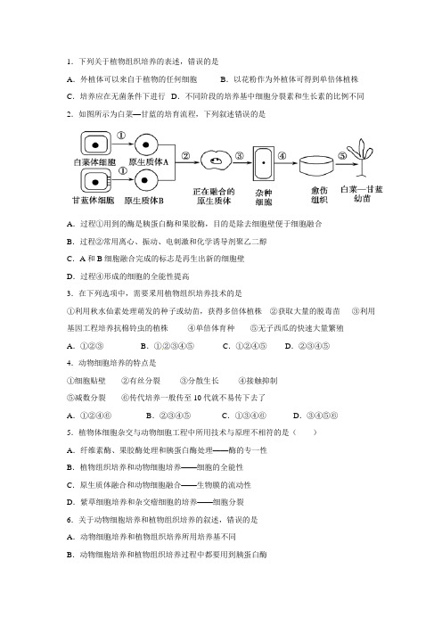 第二次周周清考试